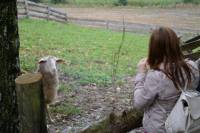 Posjet ekolo�kom imanju Stanka Valpati�a [ 140.44 Kb ]