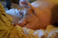 Posjet uto�i�tu Koki [ 106.75 Kb ]