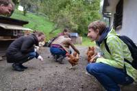 Posjet uto�i�tu Koki [ 161.95 Kb ]