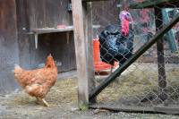 Posjet uto�i�tu Koki [ 185.42 Kb ]