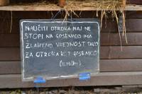 Posjet uto�i�tu Koki [ 151.23 Kb ]