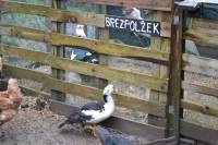 Posjet uto�i�tu Koki [ 179.66 Kb ]