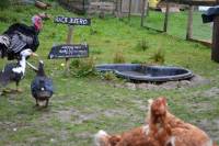 Posjet uto�i�tu Koki [ 177.79 Kb ]