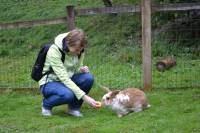 Posjet uto�i�tu Koki [ 181.24 Kb ]