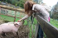 Posjet uto�i�tu Koki [ 133.25 Kb ]