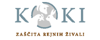 Koki