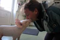 Super Ljilja kod veterinara [ 141.31 Kb ]