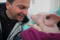Super Ljilja kod veterinara [ 167.03 Kb ]