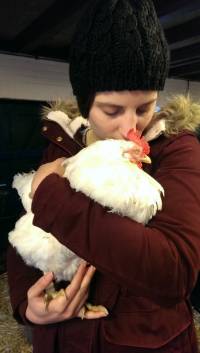 Posjet uto�i�tu za �ivotinje u Nizozemskoj [ 65.17 Kb ]