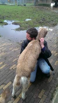 Posjet uto�i�tu za �ivotinje u Nizozemskoj [ 105.14 Kb ]