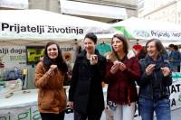 World Vegan Day, photo by Ana Mihalic 12 [ 194.16 Kb ]