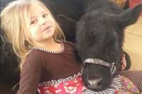 Djevoj�ica i kravica [ 200.25 Kb ]