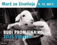 March for animals [ 448.58 Kb ]