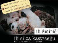 Ili �miri� ili si za kastraciju [ 388.94 Kb ]