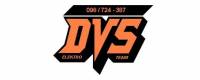 DVS logo [ 16.72 Kb ]