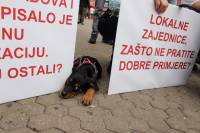 Psi i gra�ani ukazali na problem neprovedbe Zakona [ 221.28 Kb ]