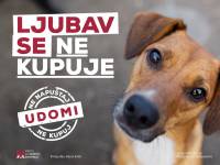 Ljubav se ne kupuje [ 143.32 Kb ]