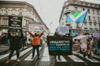 Mar� za �ivotinje, foto: Jelena Rasic [ 367.84 Kb ]