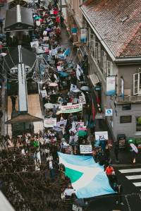 Mar� za �ivotinje, foto: Jelena Rasic [ 422.21 Kb ]
