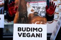 Let's clean the blood off our hands and go vegan 3 [ 174.32 Kb ]