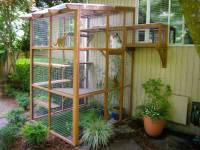 Catio
