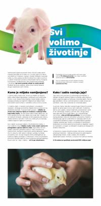 vizual 6 [ 351.14 Kb ]