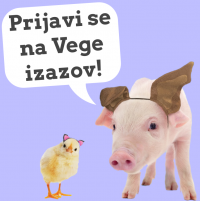 prijava novi vege izazov