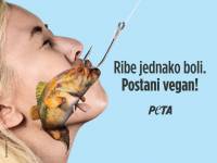 Ribe jednako boli [ 105.35 Kb ]