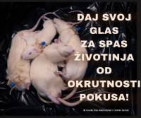 pokusi na �ivotinjama [ 111.78 Kb ]