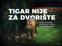 Tigar nije za dvori�te [ 819.42 Kb ]