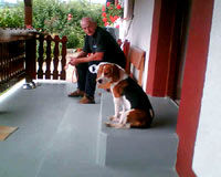 Beagle kod ku�e 30 [ 18.32 Kb ]