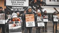 Me�unarodni dan prava �ivotinja- fotografije Davida Rammsa [ 128.52 Kb ]