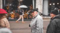 Me�unarodni dan prava �ivotinja- fotografije Davida Rammsa [ 83.09 Kb ]