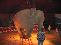 Gaertner u Osijeku 2 [ 34.29 Kb ]