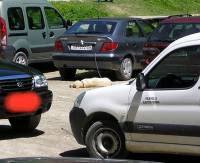 �umberak, 21.05.2005. - Pas ostavljen bez vode na 30�C [ 47.82 Kb ]
