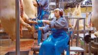 Scene from the movie: Our Daily Bread (Unser t�glich Brot) #1 [ 35.20 Kb ]