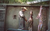Dog meat 18 [ 32.55 Kb ]