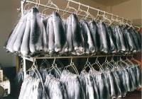 Chinchilla fur coats [ 60.42 Kb ]