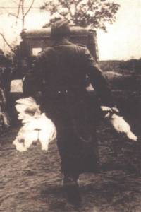 Vje�na Treblinka naslovnica - njema�ki vojnik [ 23.95 Kb ]