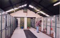 Izvor: www.ccph.org.uk - Creature Comforts Pet Hotel
