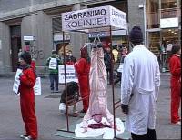 Zabranimo kolinje!