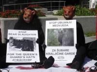 Indefensible Cruelty