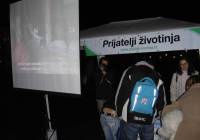 Animal Rights on a Projection Screen
