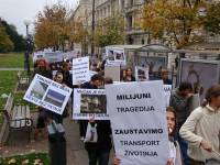 Protest against live animal transport 13 [ 134.82 Kb ]