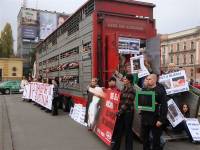 Protest against live animal transport 21 [ 120.62 Kb ]
