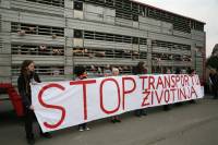 Prosvjed protiv transporta �ivotinja