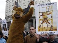 End primate experiments