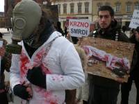 Anti-fur demo in Osijek 2009