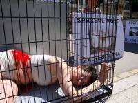 Osijek action against animal experimentation