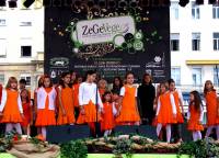 ZeGeVege festival 2009 [ 460.76 Kb ]